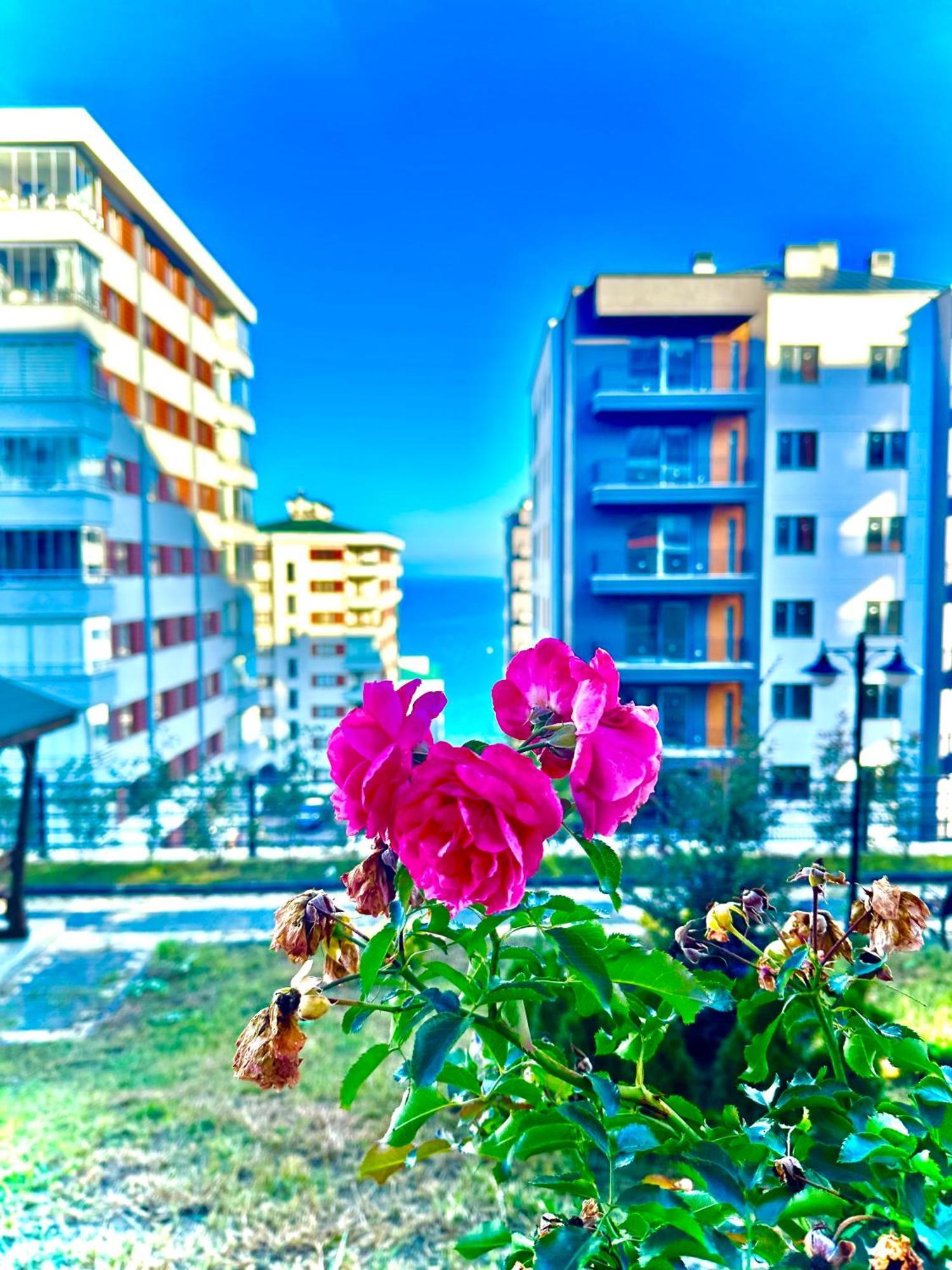 Bazalt Apart Hotel Trabzon Esterno foto